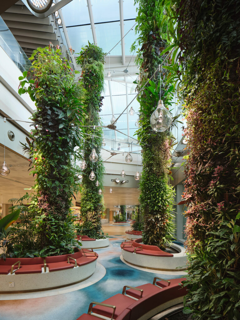 Aeroporto natureza