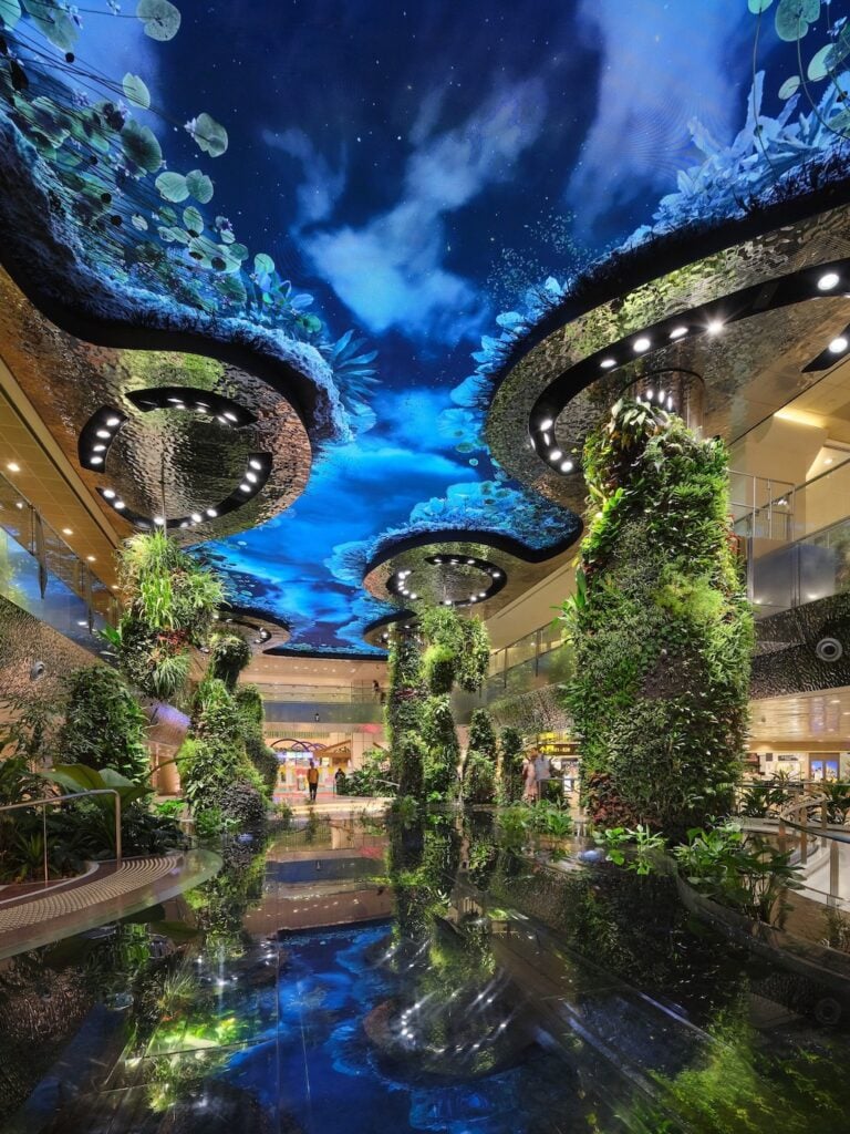 Aeroporto natureza