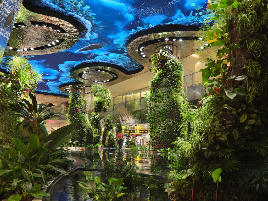 Aeroporto natureza