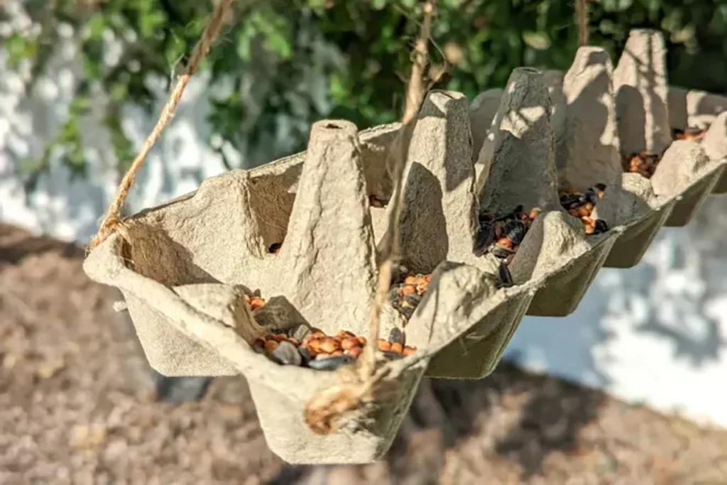caixa de ovos comedouro de pássaros