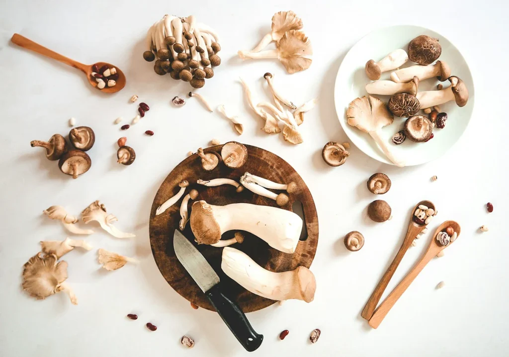 cogumelos-alimentacao-thanh-soledas-unsplash