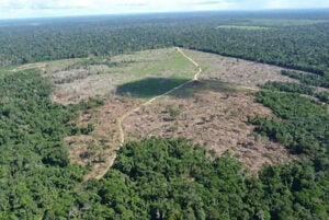 desmatamento na Amazônia Legal