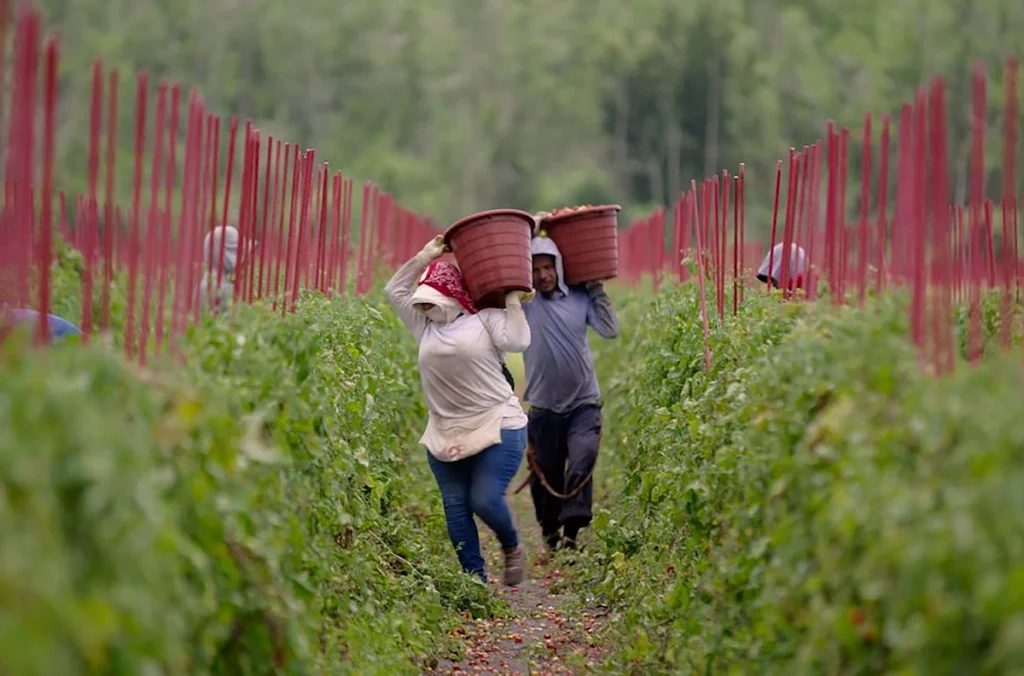 filme food, inc