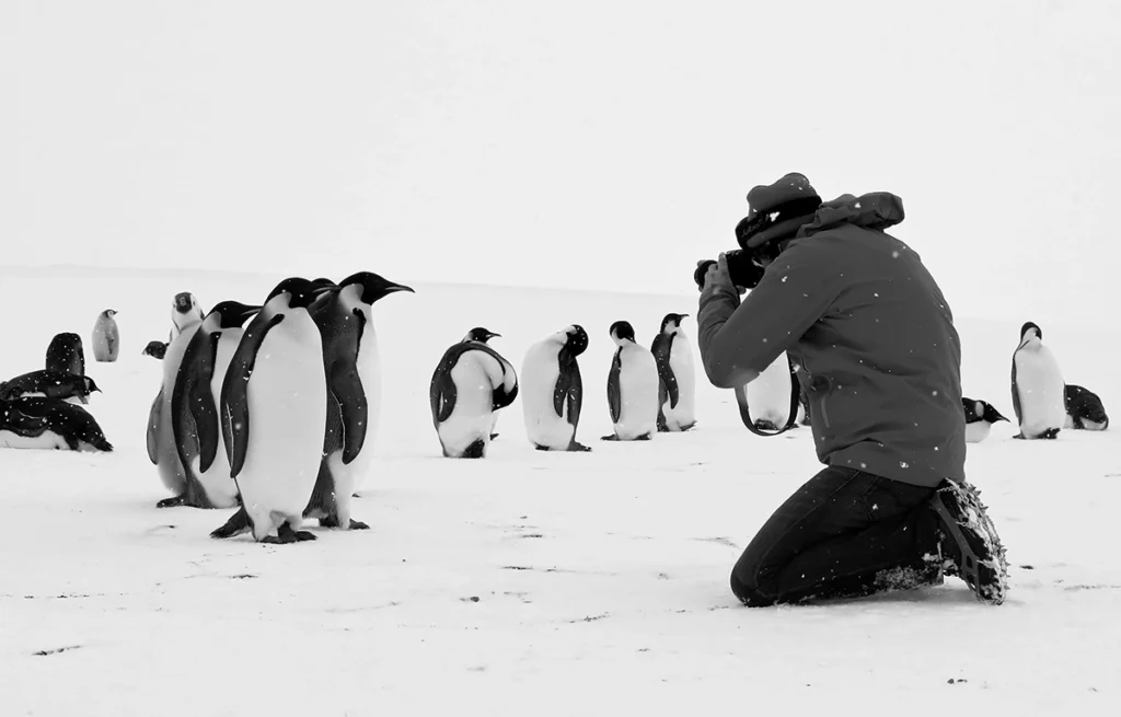 filme sobre a Antártica