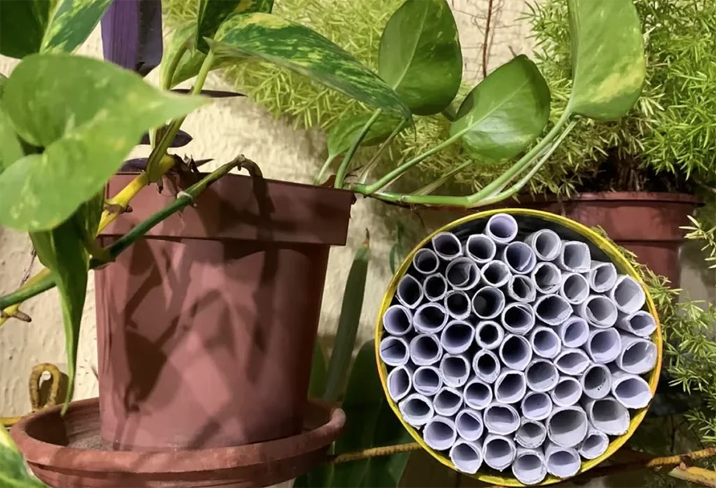 hotel para abelhas com material reciclável