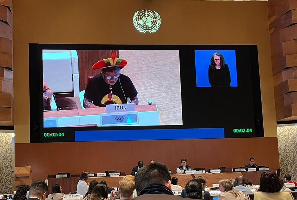 indígenas pedem fim do garimpo ilegal na ONU
