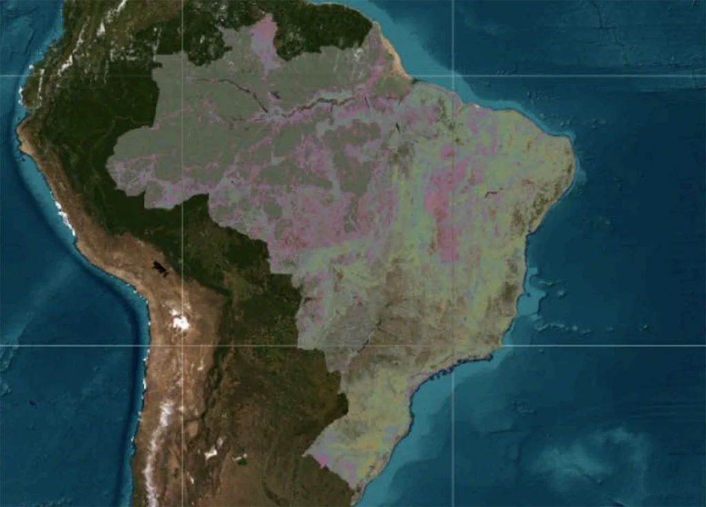 vegetação do Brasil
