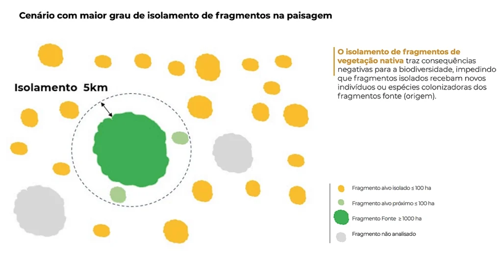 fragmentos de vegetação nativa
