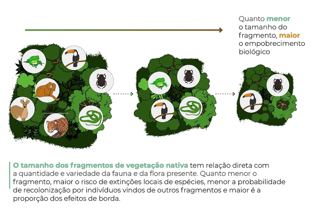 vegetação nativa degradada