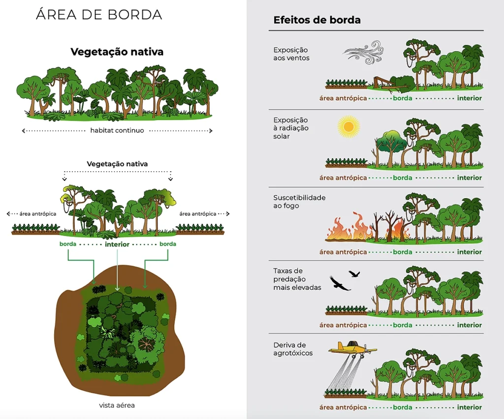 vegetação nativa degradada