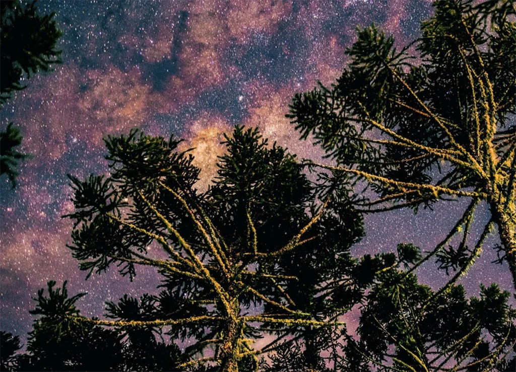 leitura do céu estrelas