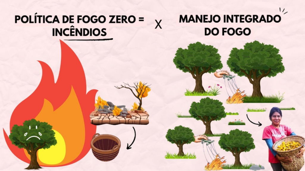 Manejo Integrado do Fogo