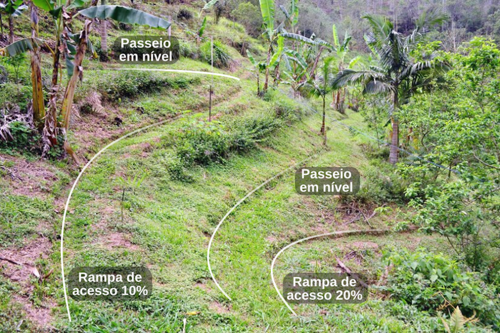 Pirambeira produtiva