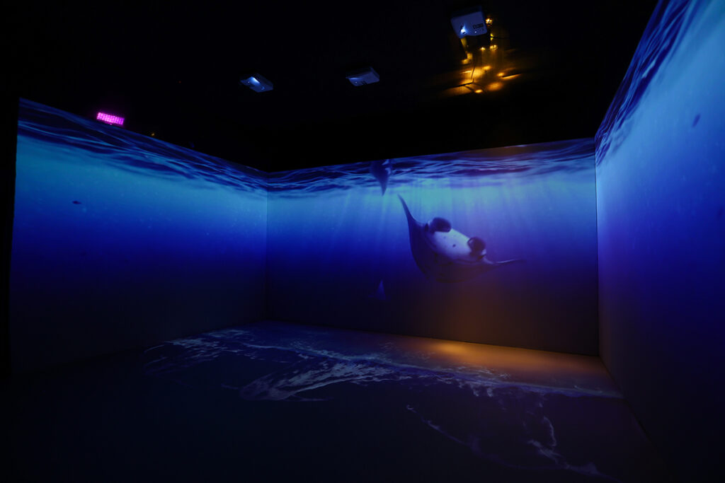 exposição voz dos oceanos Família Schurmann