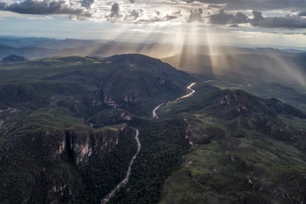 cerrado