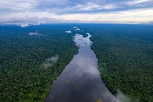 Amazônia