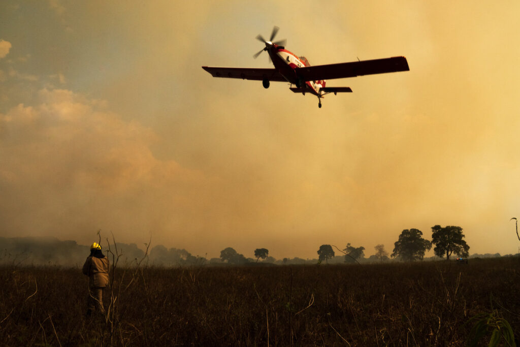 filme queimadas Pantanal