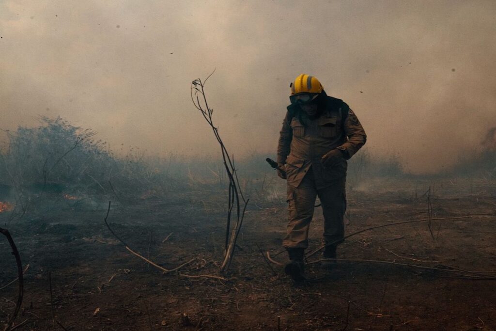 filme queimadas Pantanal