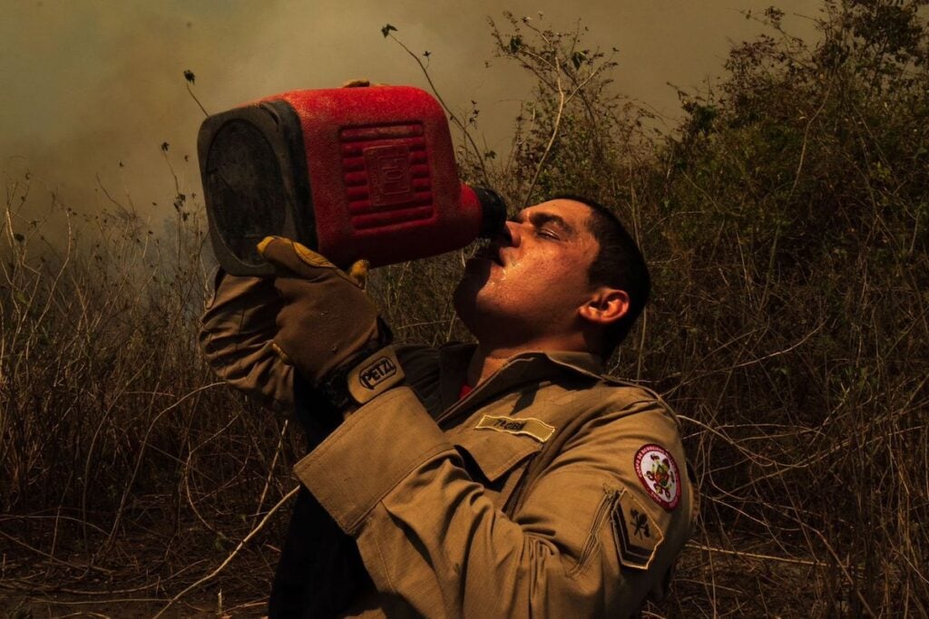 filme queimadas Pantanal