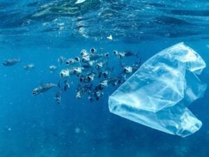 plástico nos oceanos peixes sacola plástica