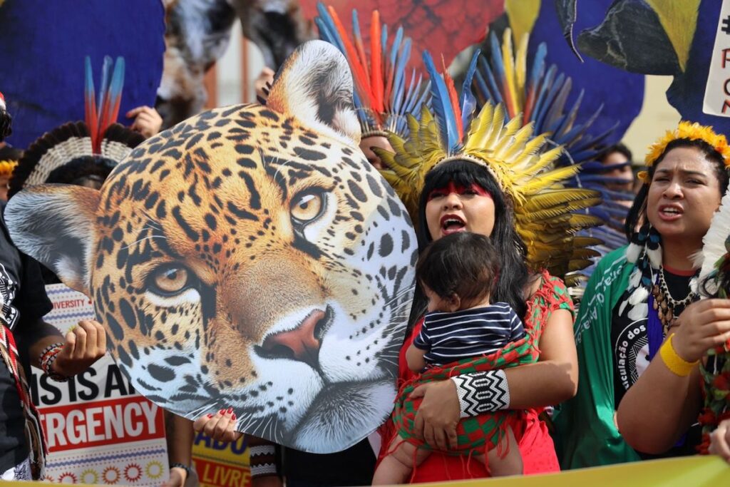 indigenas COP16