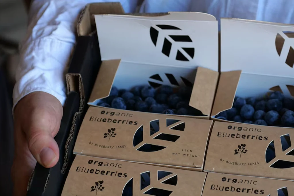 frutas em caixas de papelão