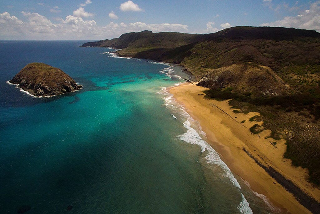 monitoramento de cardume de sardinhas em Fernando de Noronha