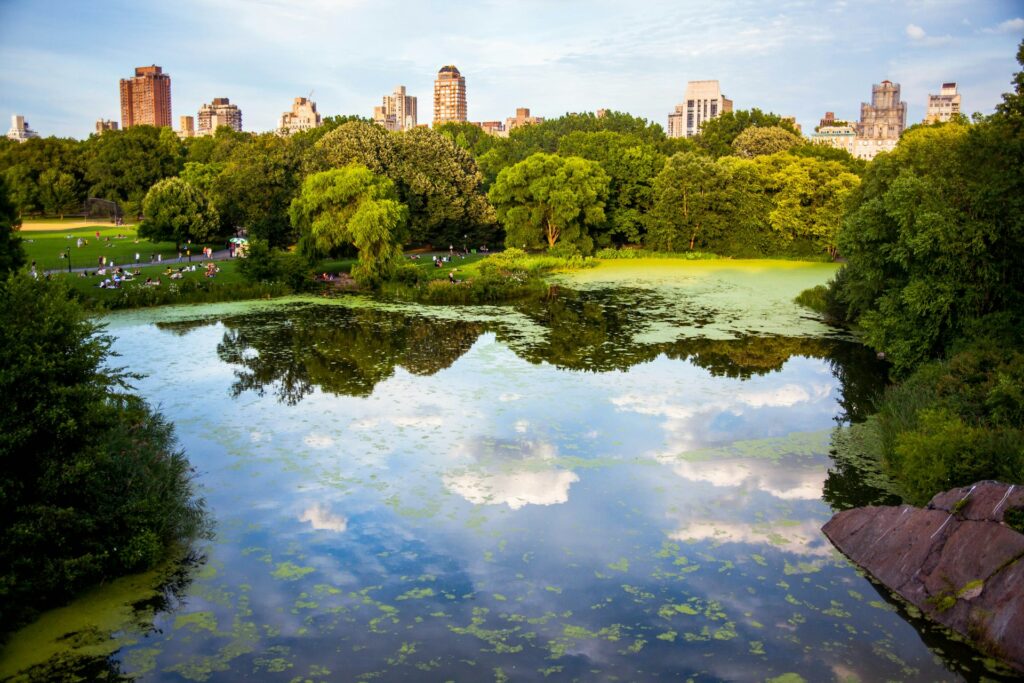área verde em nova iorque central park