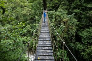 contato com a natureza