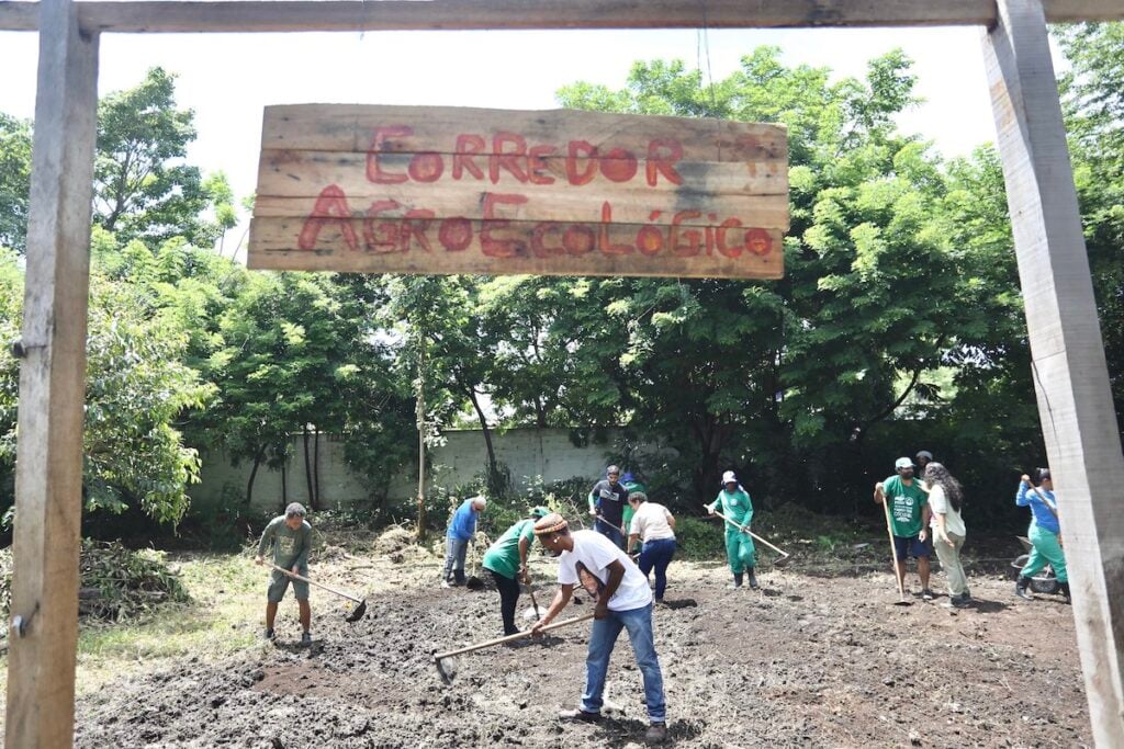 corredor agroecológico
