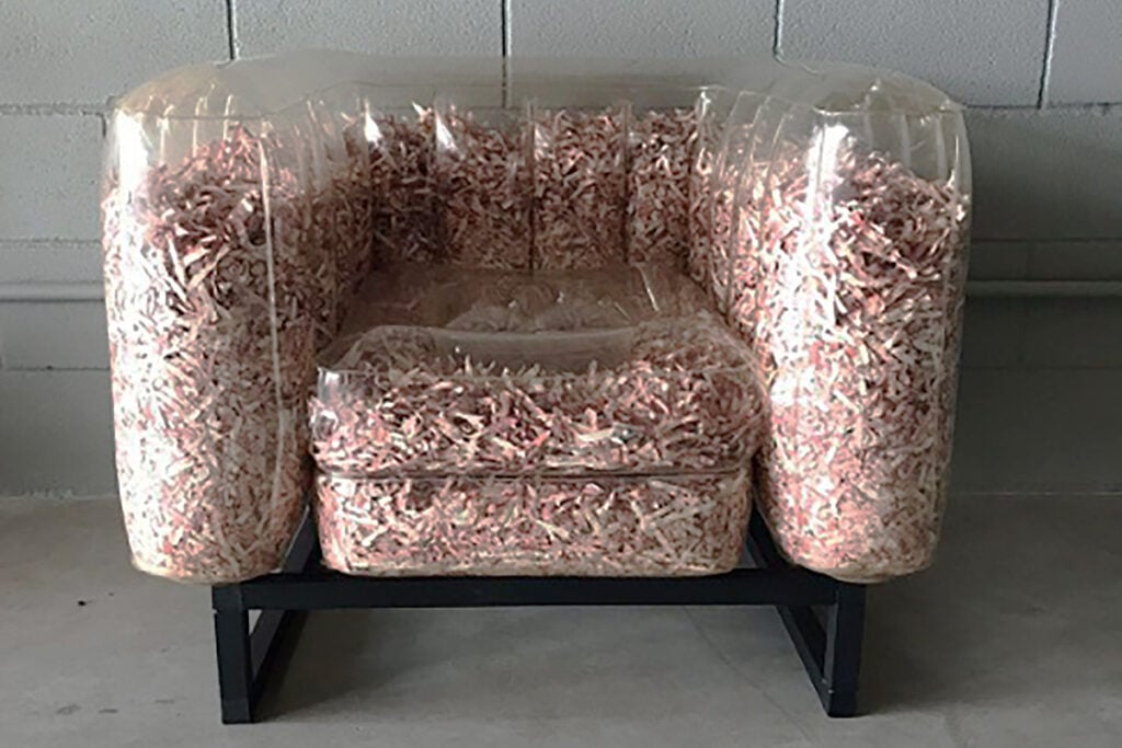 cadeira feita com cédulas de dinheiro picadas