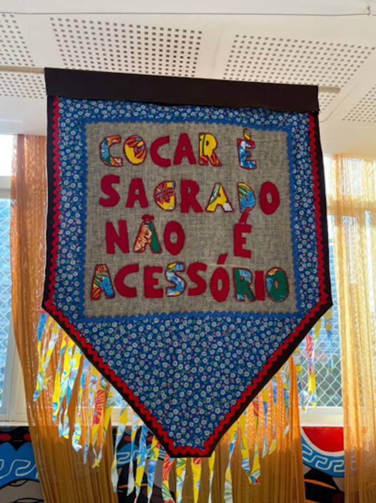 INDÍGENA NÃO É FANTASIA