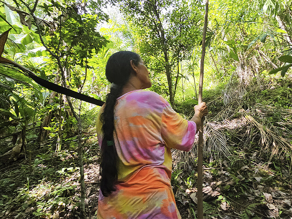 agroecologia e mulheres