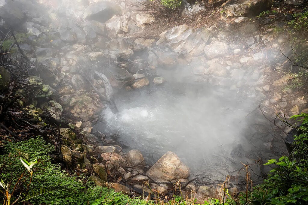 vulcão árvores gases
