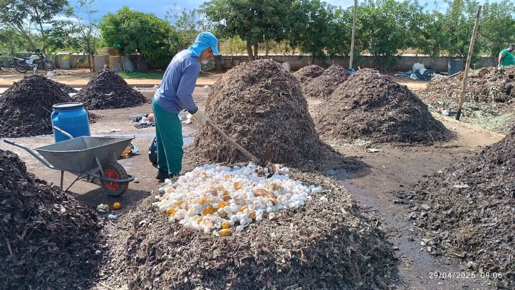 compostagem de lixo orgânico