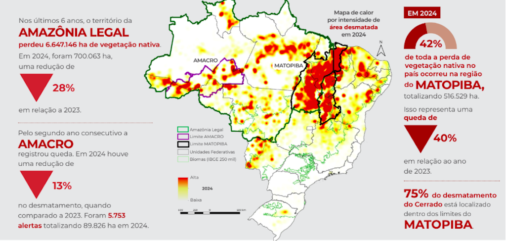 desmatamento biomas