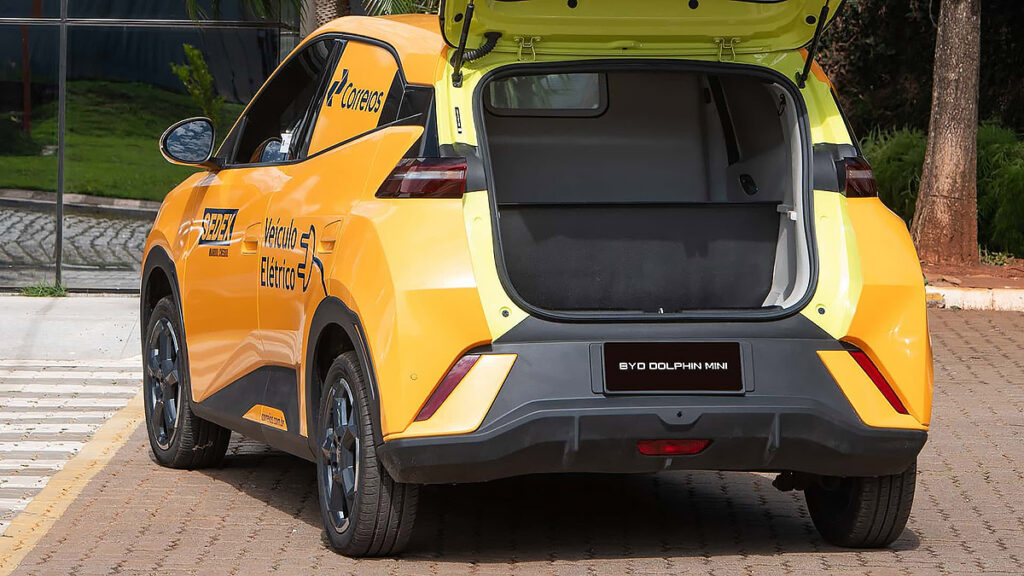 Dolphin Mini Cargo
