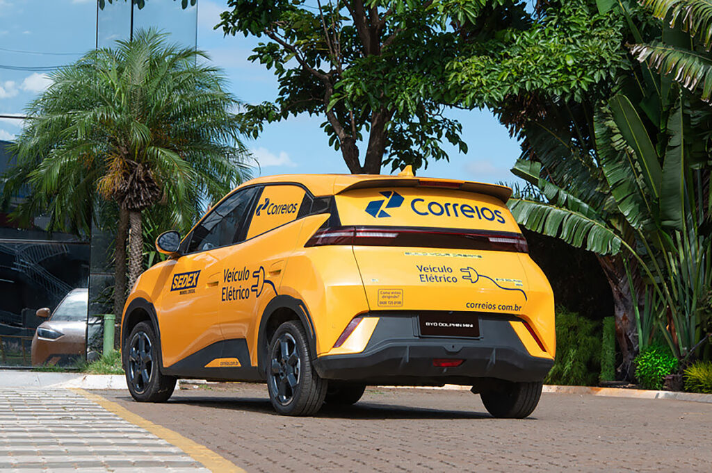 Dolphin Mini Cargo