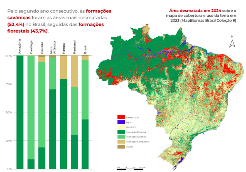 desmatamento biomas