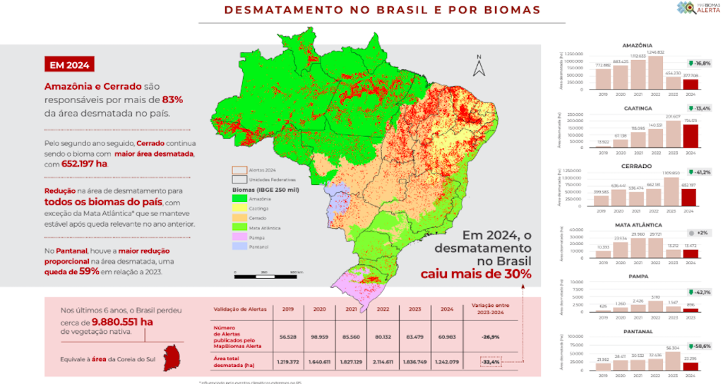 desmatamento biomas