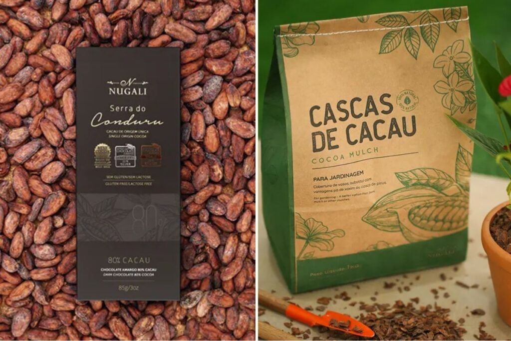cascas de cacau chocolate
