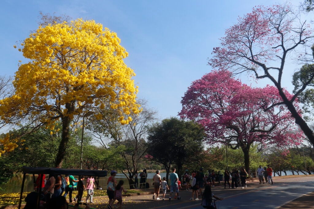 parque SP