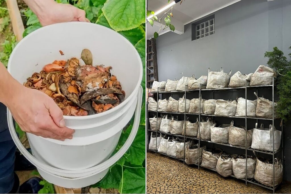 compostagem urbana