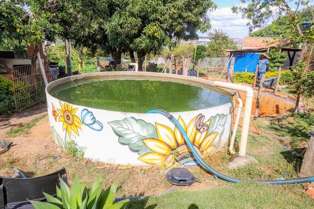Horta orgânica comunitária