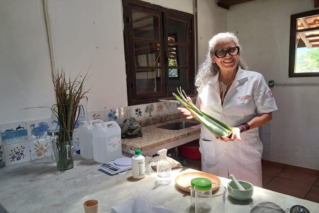 babosa plantas medicinais