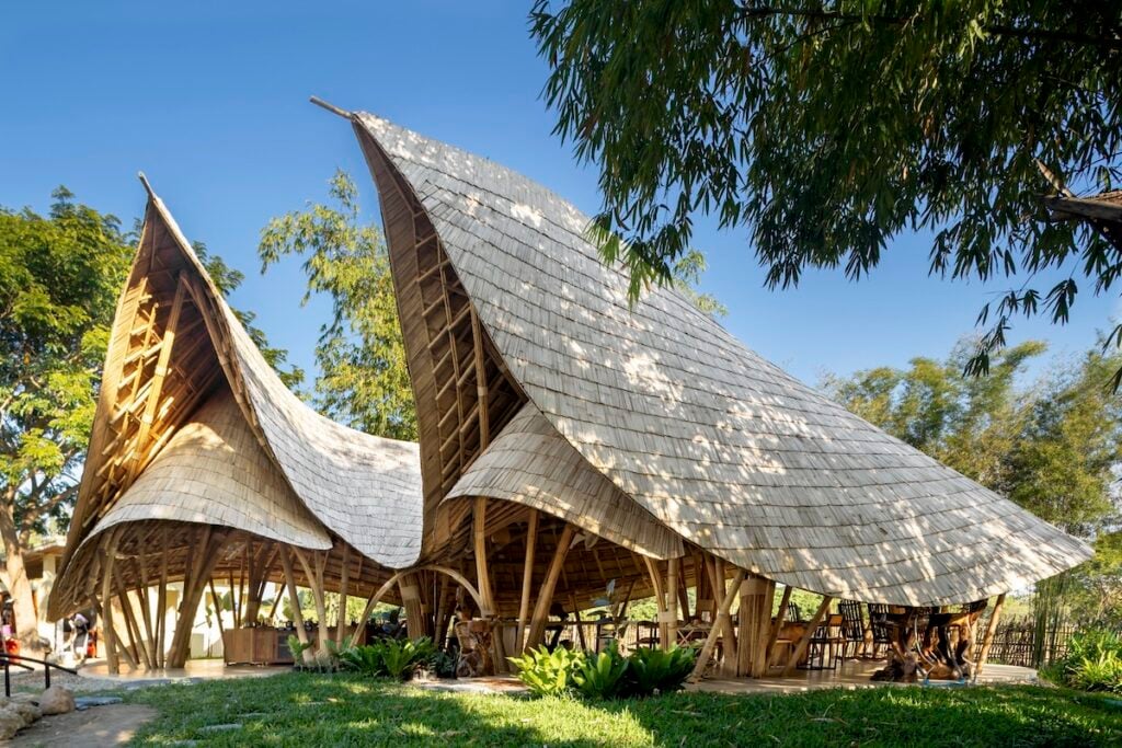 escola bambu