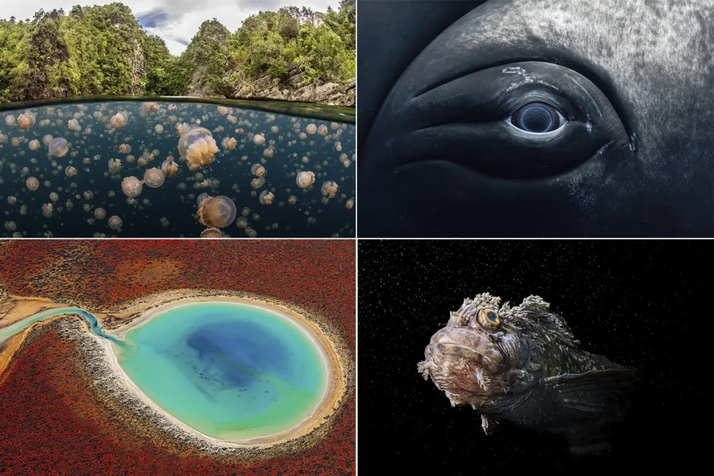 fotos dos oceanos