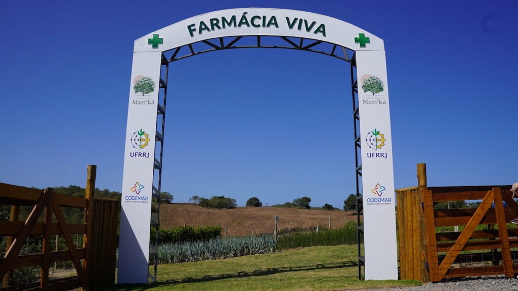 plantas medicinais Maricá