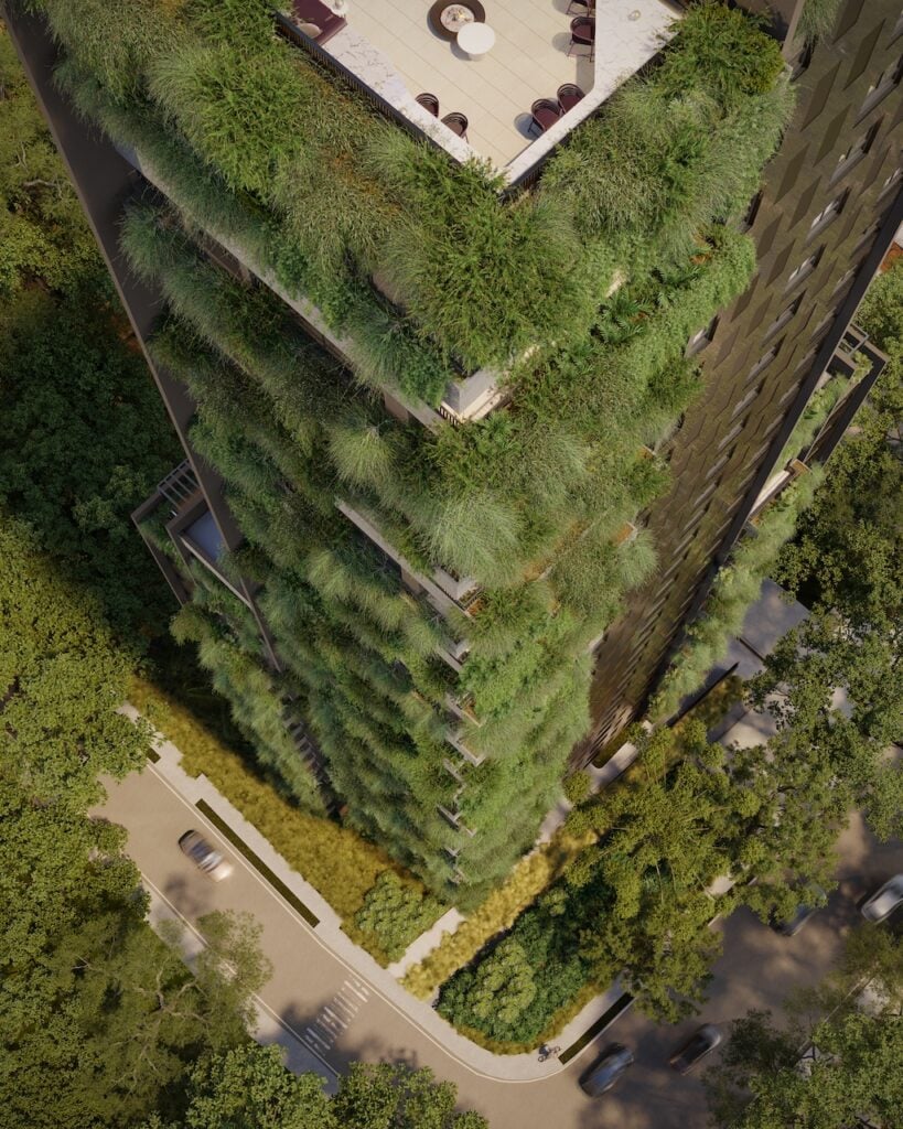 Paisagismo regenerativo