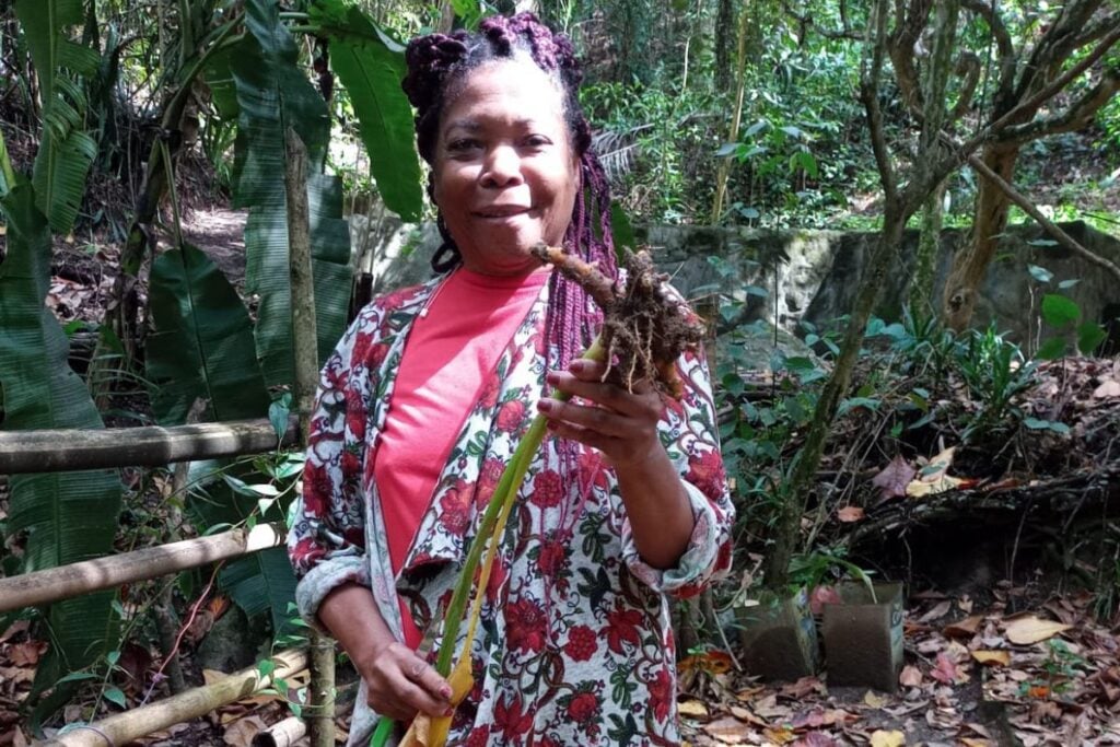 floresta ecomuseu